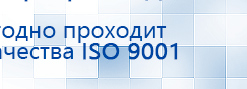 ДЭНАС - Аппликатор купить в Заречном, Электроды Дэнас купить в Заречном, Дэнас официальный сайт denasolm.ru