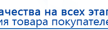 Прибор Дэнас ПКМ купить в Заречном, Аппараты Дэнас купить в Заречном, Дэнас официальный сайт denasolm.ru
